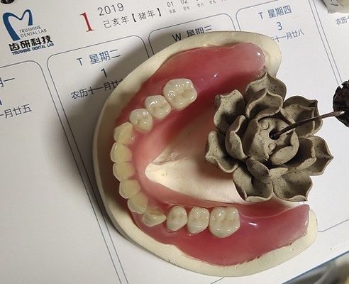 स्थिर आरामदायक बीपीएस एक्रिलिक आंशिक कृत्रिम दांतों की पंक्ति